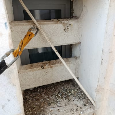 חלון עם לכלוך וענפים, מתאים להרחקת יונים