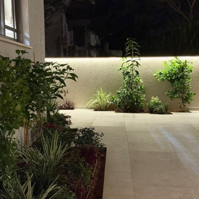 גינה עם צמחים ופרחים ליד קיר מואר בלילה