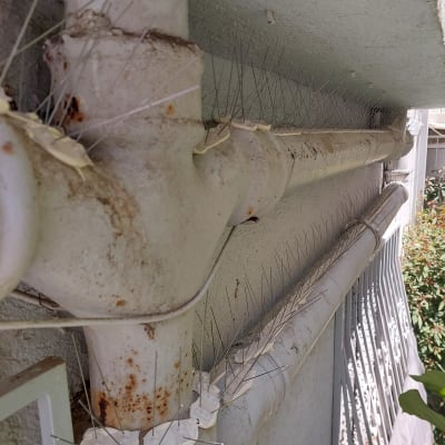 דוקרנים על צינור למניעת קינון יונים