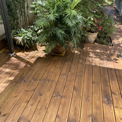 דק עץ עם עציצים ירוקים בגינה