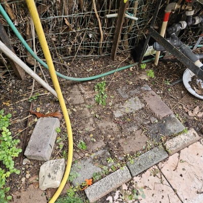 צינור צהוב וירוק על אדמה עם צמחייה