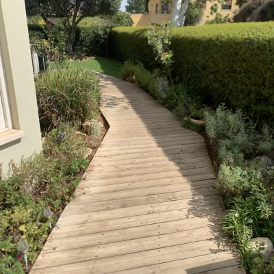 שביל עץ בגינה עם צמחייה מסביב