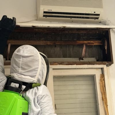 אדם בחליפת מגן עם מרסס ירוק ליד מזגן