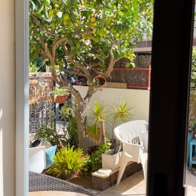 גינה עם עצים וצמחים, דלי על שולחן