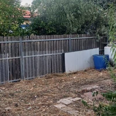 חצר מוזנחת עם עשבייה יבשה וגדר עץ לפני ניקוי וטיפול