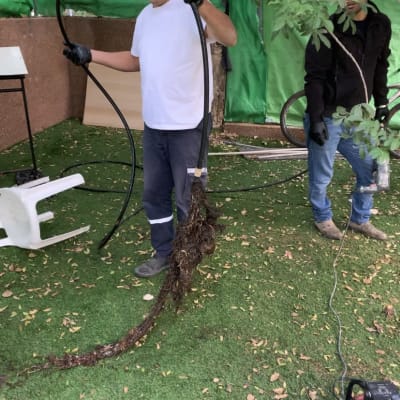 שרון מראה את השורשים שהוציא מהקו