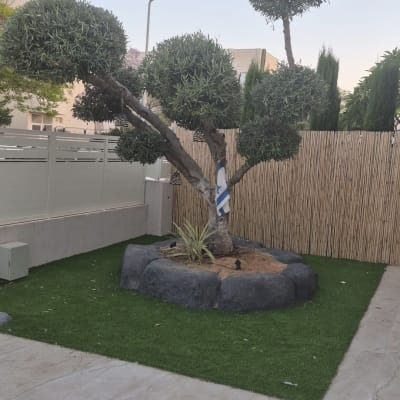עץ מעוצב בגינה עם דשא סינטטי