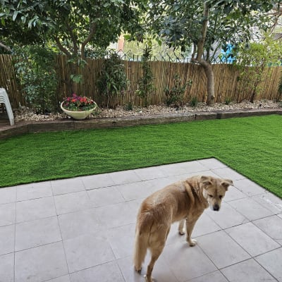 דשא סינתטי, עציצים עם פרחים, גדר במבוק