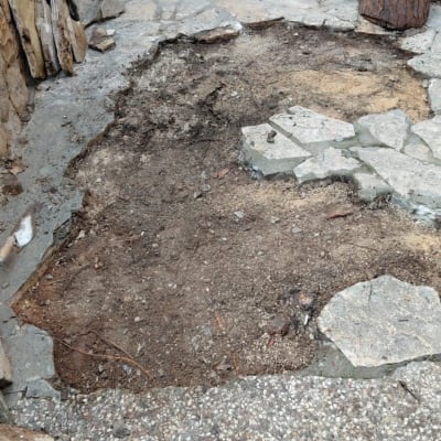 שביל אבן עם מדרגות ואבנים שבורות