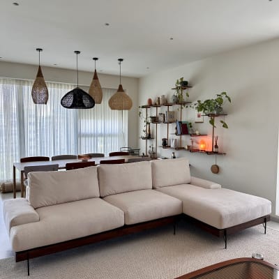 סלון עם ספה, שולחן, מדפים וצמחים