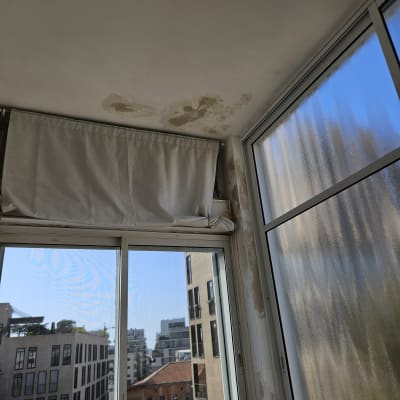 חלון עם תריסים פתוחים ומסך רשת