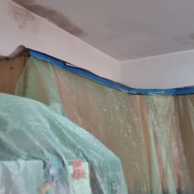 תמונה של קיר עם סימני רטיבות והכנה לצביעה