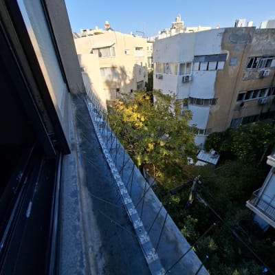 דוקרנים להרחקת יונים על אדן חלון