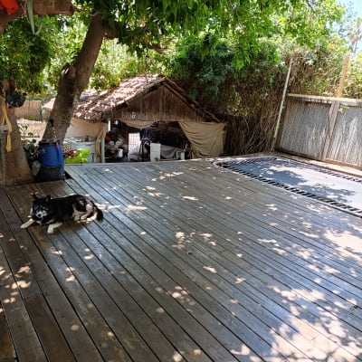 חצר עם דק עץ וכלב שוכב בצל