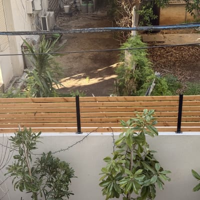 גדר עץ עם צמחים בחצר אחורית