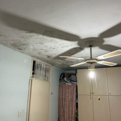 תקרה עם סימני רטיבות ועובש ליד מאוורר תקרה