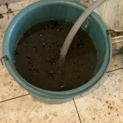 דלי עם מים מלוכלכים וצינור על רצפה מלוכלכת