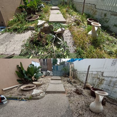 שביל גינה עם צמחים, עציצים וכלי גינון