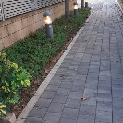 עמודי תאורה מוארים לאורך שביל מרוצף