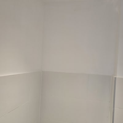 קירות צבועים בחדר שירותים עם תאורה עליונה