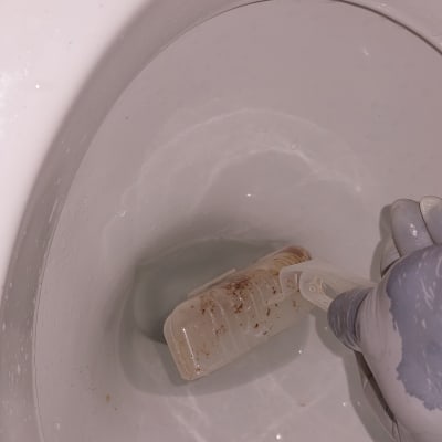 יד עם כפפה מחזיקה מברשת בתוך אסלה