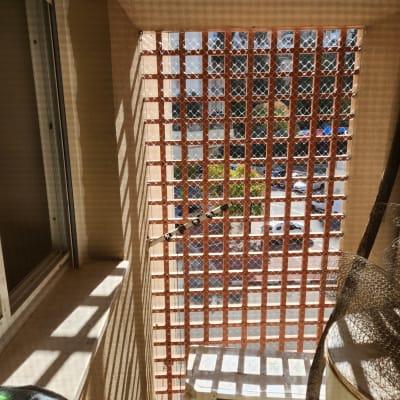 רשת למניעת כניסת יונים במרפסת