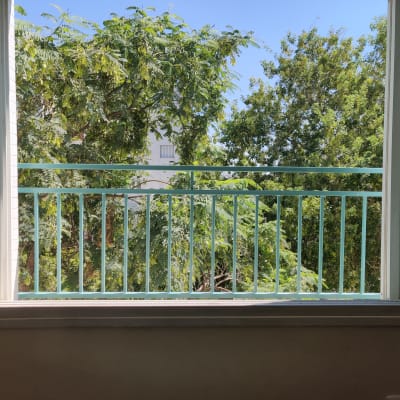 חלון פתוח עם מסגרת מתכת ירוקה ועצים ברקע