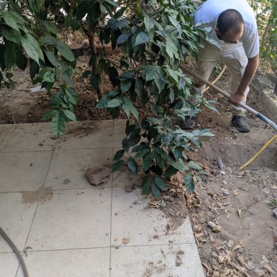 אדם חופר באדמה ליד צינור צהוב ועץ