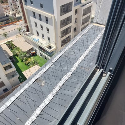 דוקרנים להרחקת יונים על גג בניין