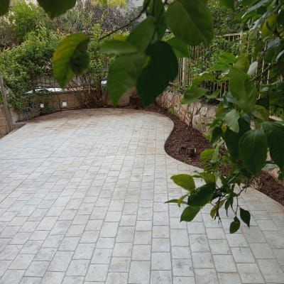 שביל מרוצף עם צמחייה מסביב