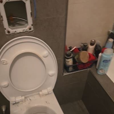 תמונה של שירותים עם ניאגרה פתוחה ומוצרי טיפוח