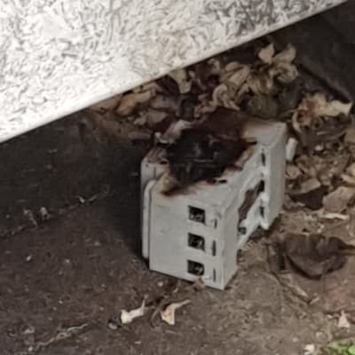 שקע חשמלי שרוף וכלי עבודה על הקרקע