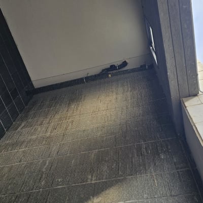 רשת למניעת כניסת יונים בפינת מבנה