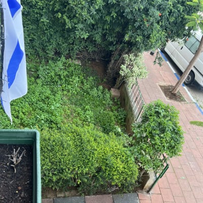 גינה עם שיחים ירוקים וצמחים בעציצים