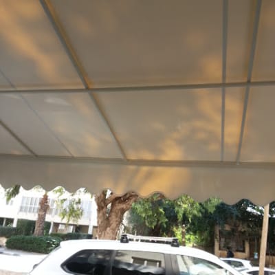 סוכך לבן עם צללים של עצים על הבד