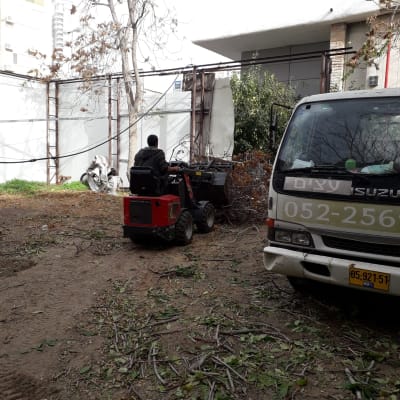 אדם על טרקטורון אוסף ענפים גזומים