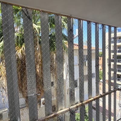 רשת למניעת כניסת יונים במרפסת