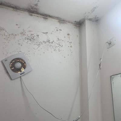 קיר עם עובש וכתמים כהים, מאוורר מותקן