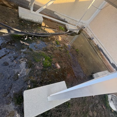 תמונת גג עם צמחייה ומבנה מתכת