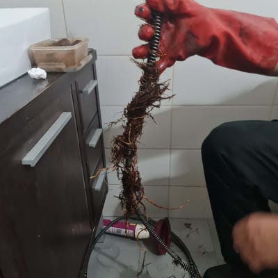 יד עם כפפה אדומה מחזיקה קפיץ אינסטלטורים עם שורשים