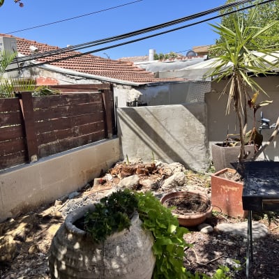 עציצים וצמחים בגינה עם גדר עץ וקיר בטון