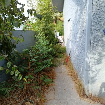 שביל עם צמחייה וכלי גינון ליד קיר בית