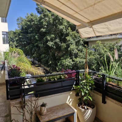 מרפסת עם צמחים ועציצים ירוקים