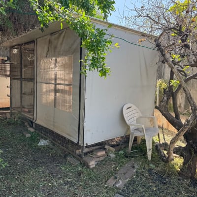 כלוב גדול עם רשתות, כיסא פלסטיק ליד עץ