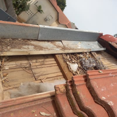 תיקון גג רעפים עם עלים ולכלוך