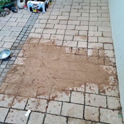 אזור מרוצף עם אדמה וכלי עבודה בגינה