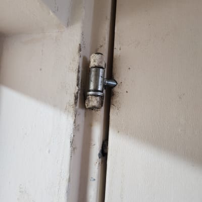 ציר דלת עם בורג בתחום המנעולנות