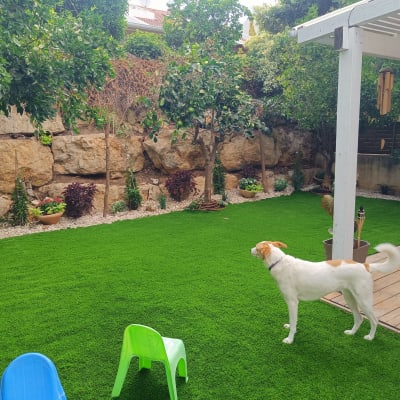 גינה עם דשא מלאכותי, עצים ועציצים