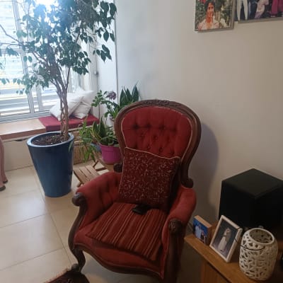 כורסה אדומה עם כרית, עציצים ותמונות על הקיר