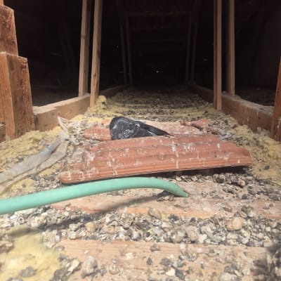 עליית גג עם לכלוך ופסולת, צינור ירוק